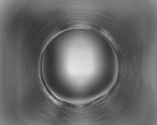 X0000073931379200608111149