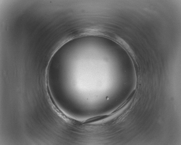 X0000073931386200608111149