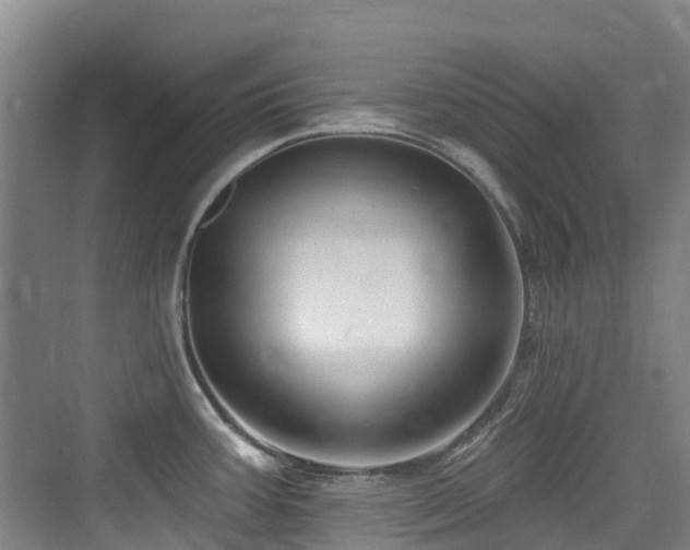 X0000073931387200608111149