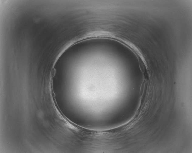 X0000073931390200608111149