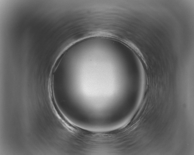 X0000073931391200608111149