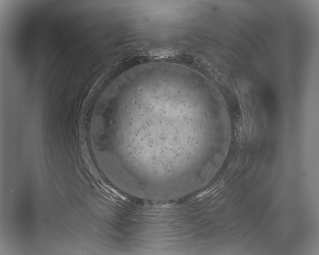 X0000073931393200608111148