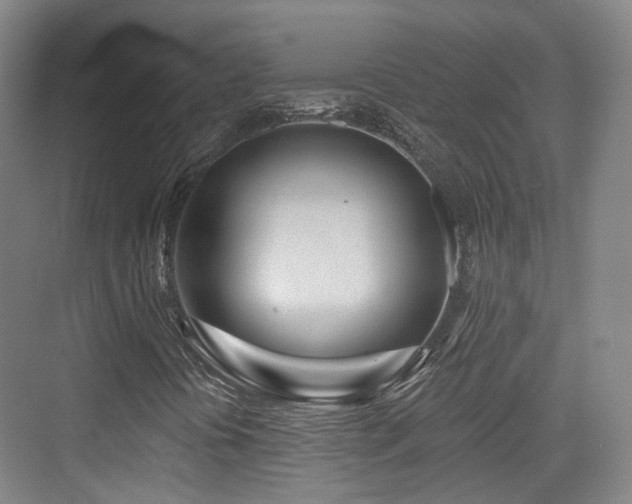 X0000073931394200608111148