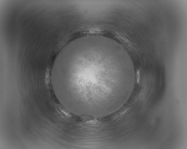 X0000073931395200608111148