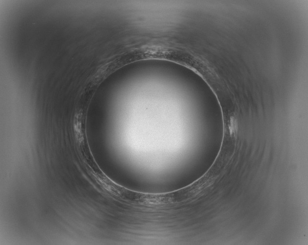 X0000073931396200608111148