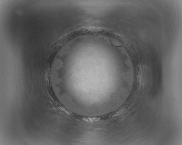 X0000073931397200608111148