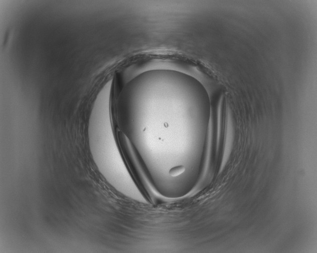 X0000073931398200608111148