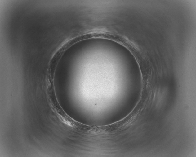 X0000073931400200608111148