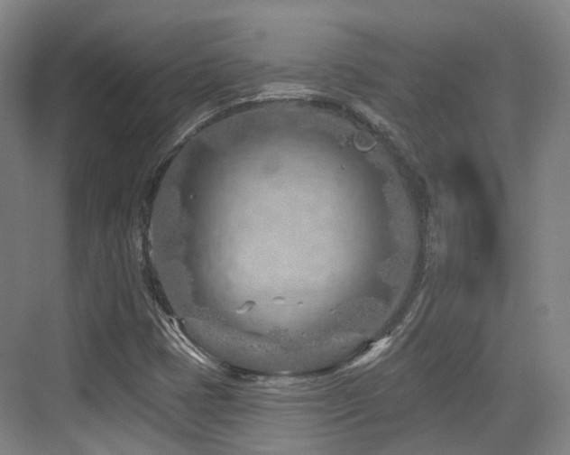 X0000073931401200608111148