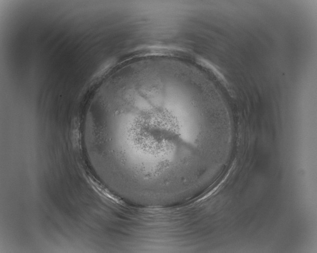 X0000073931403200608111148