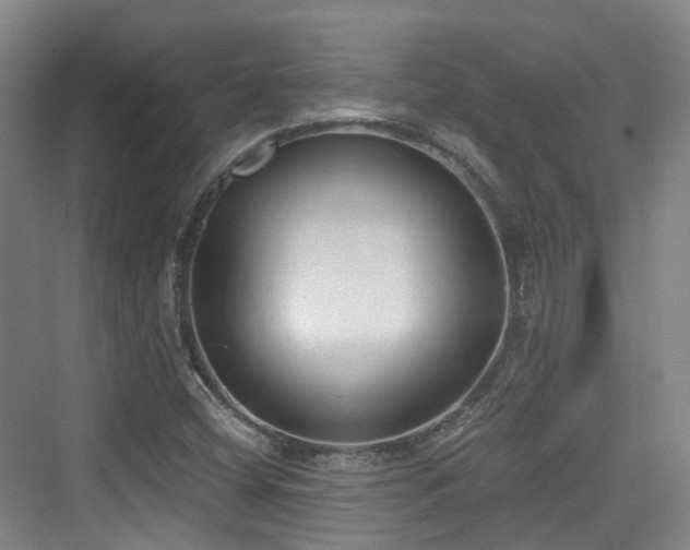 X0000073931404200608111148