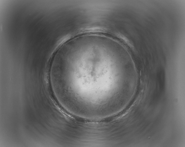 X0000073931405200608111148