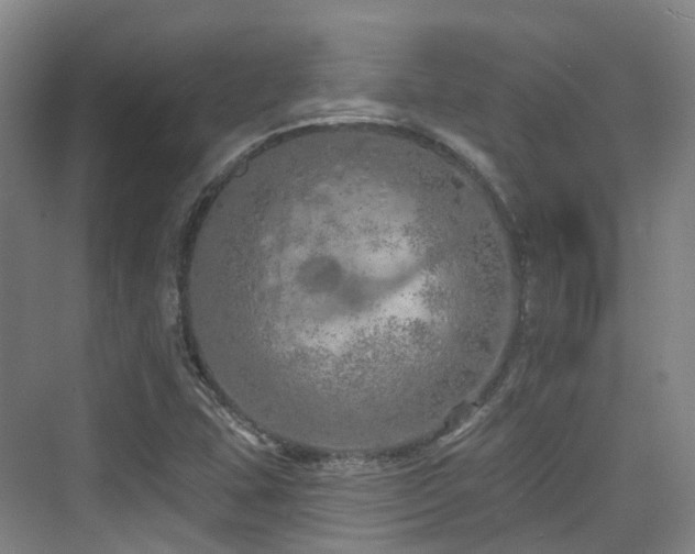 X0000073931407200608111148