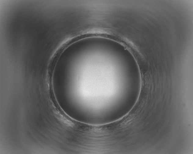 X0000073931408200608111148