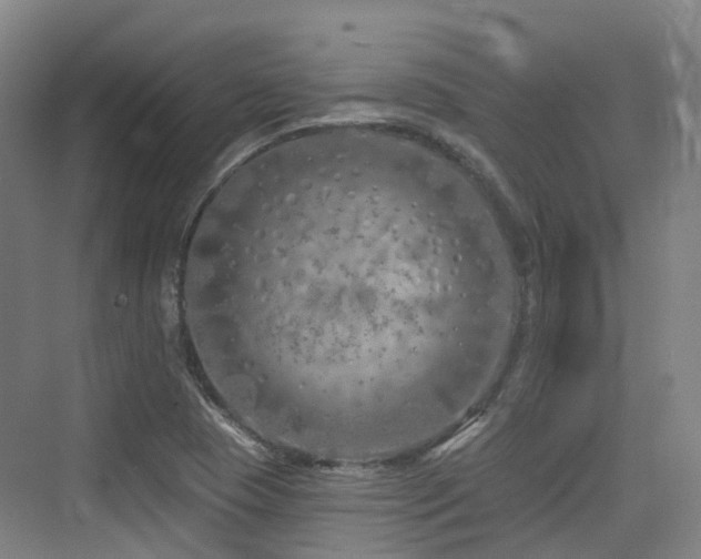 X0000073931409200608111148