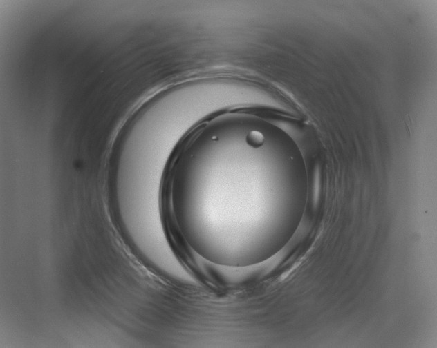 X0000073931410200608111148