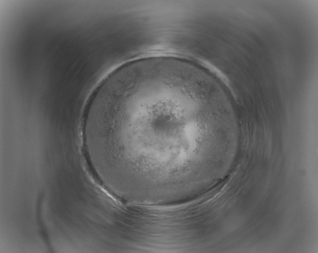 X0000073931415200608111148