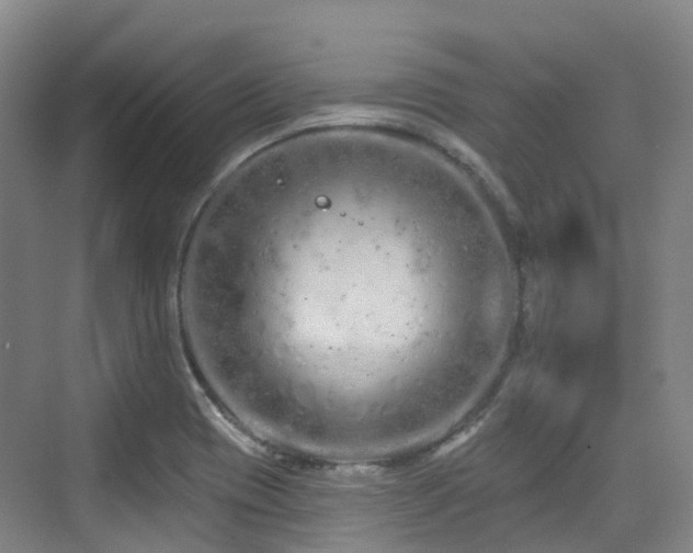 X0000073931417200608111148