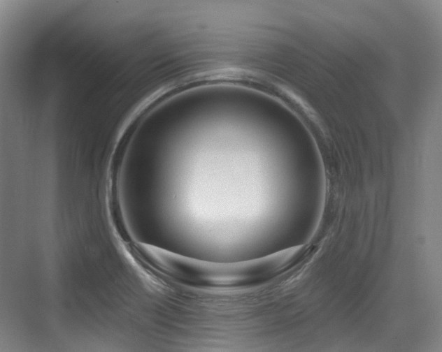 X0000073931418200608111148