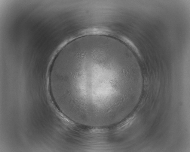 X0000073931419200608111148