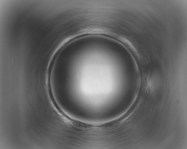 X0000073931424200608111148