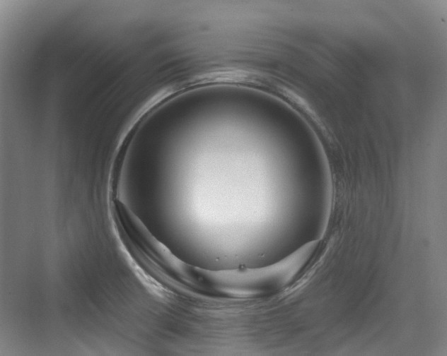 X0000073931426200608111148