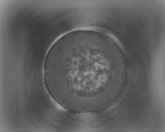 X0000073931428200608111148