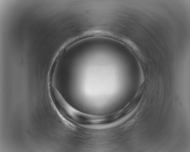 X0000073931430200608111149