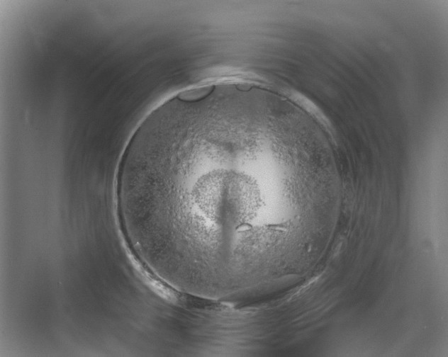 X0000073931431200608111149