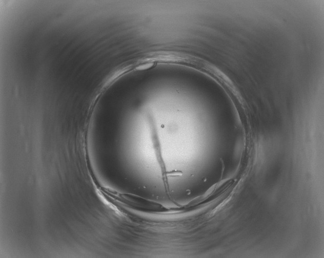 X0000073931433200608111149