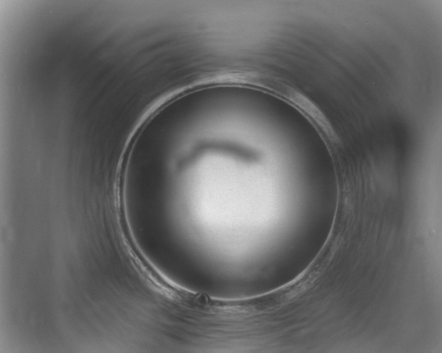 X0000073931436200608111149