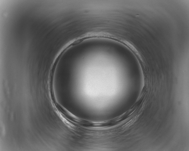 X0000073931438200608111149