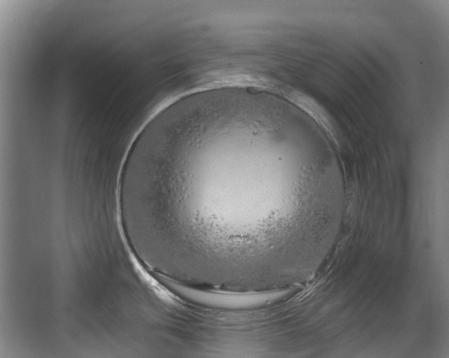 X0000073931439200608111149