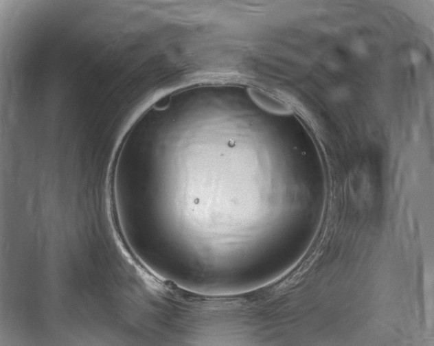 X0000073931440200608111149