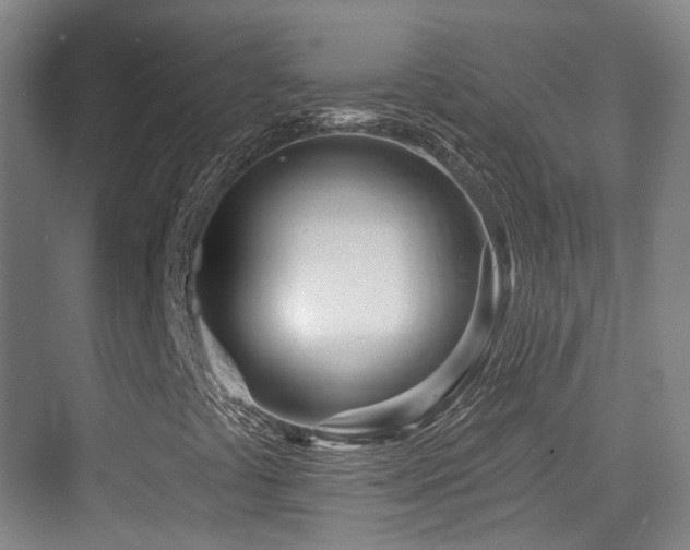 X0000073931441200608111148