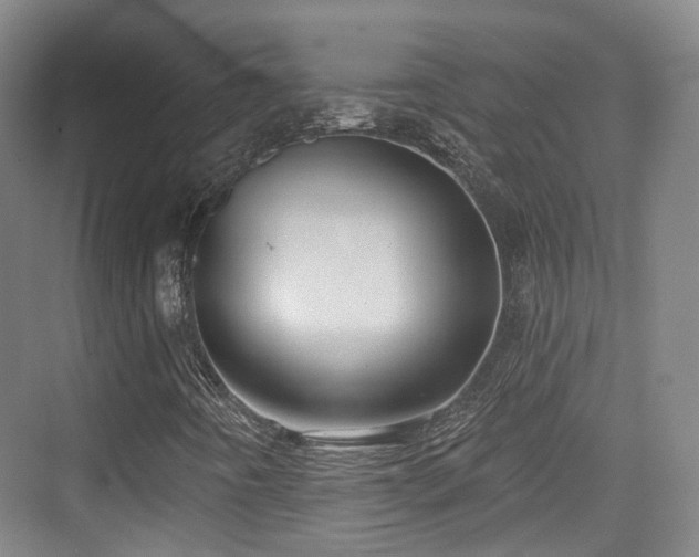 X0000073931442200608111148