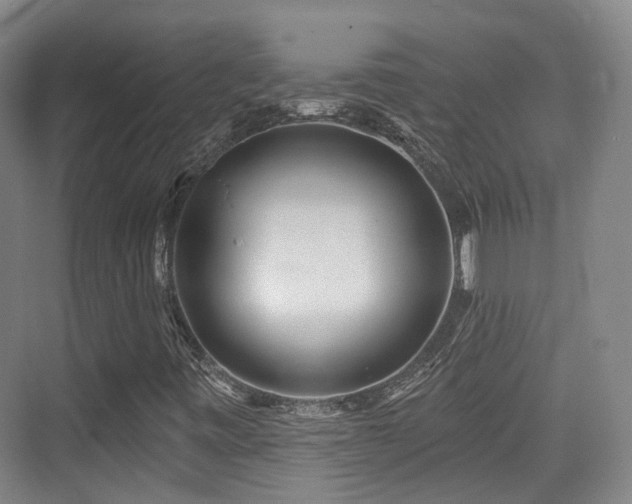 X0000073931443200608111148