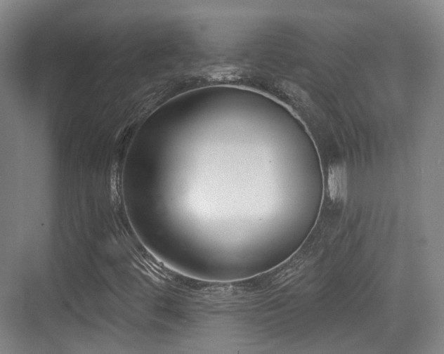 X0000073931444200608111148