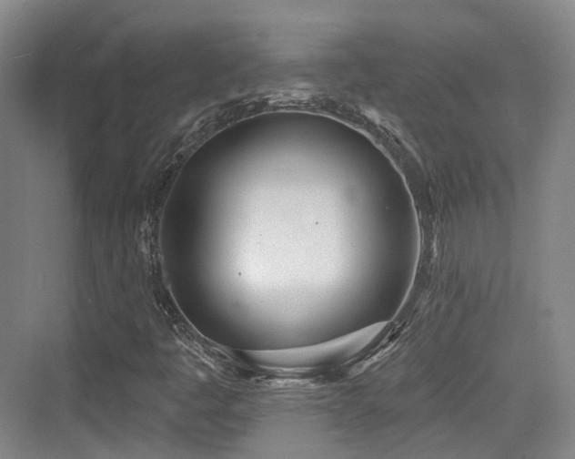 X0000073931445200608111148