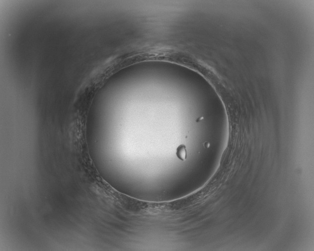 X0000073931447200608111148