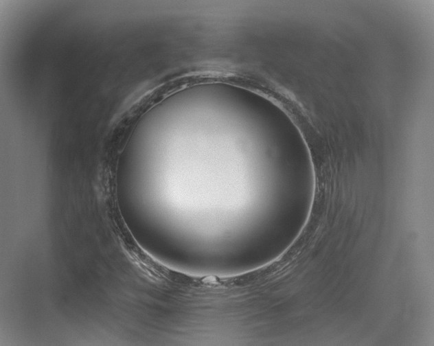 X0000073931448200608111148