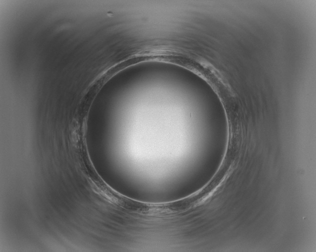 X0000073931449200608111148