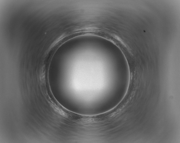 X0000073931450200608111148