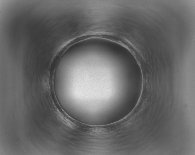 X0000073931452200608111148