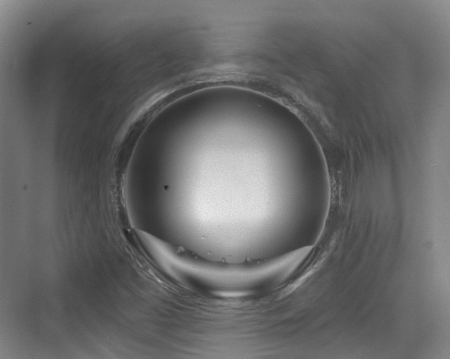 X0000073931453200608111148