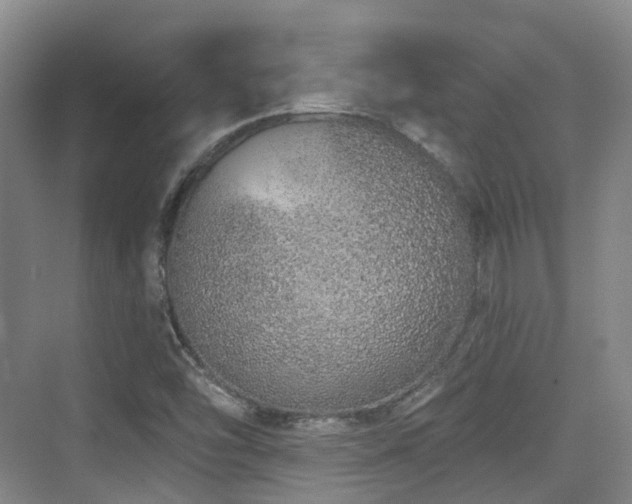 X0000073931454200608111148