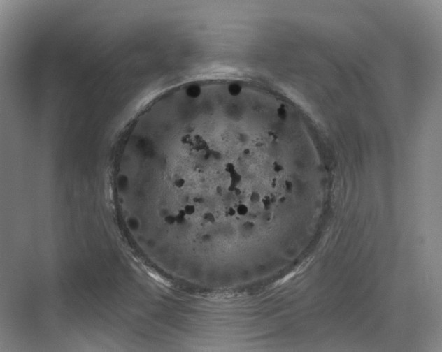 X0000073931455200608111148