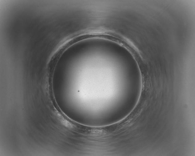 X0000073931456200608111148