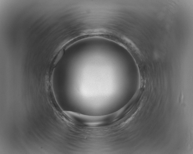 X0000073931457200608111148