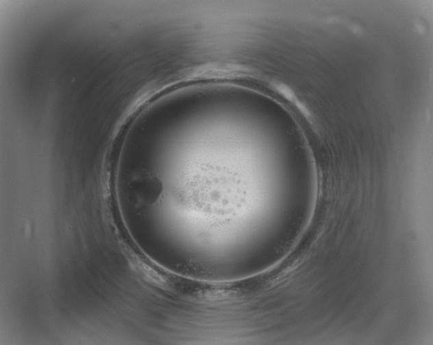 X0000073931459200608111148